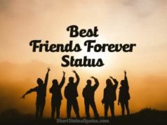 Quiz_Are You Actually Best Friends Forever? Are You Actually Best Friends Forever-AffectionGuide