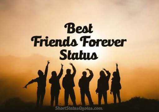 Quiz_Are You Actually Best Friends Forever? Are You Actually Best Friends Forever-AffectionGuide