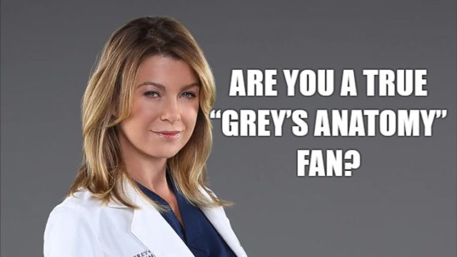 Are You A True “Grey’s Anatomy” Fan?-AffectionGuide
