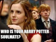 Who Is Your Harry Potter Soulmate Quiz-AffectionGuide
